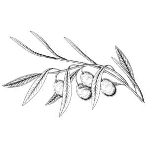 Picture of Karbonoir 